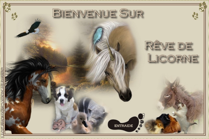 Forum Rêve de Licorne et association Unicorn's Dream SAUVETAGE DE NOS AMIS LES ANIMAUX PAR PETITES ANNONCES. PROTECTION ET INFORMATIONS MALTRAITANCE ANIMALE.