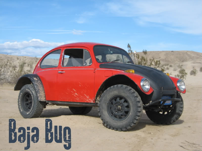 baja bug bilder ohne ende