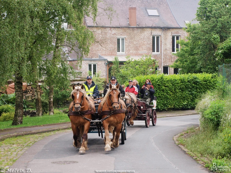 Image hébergée par servimg.com