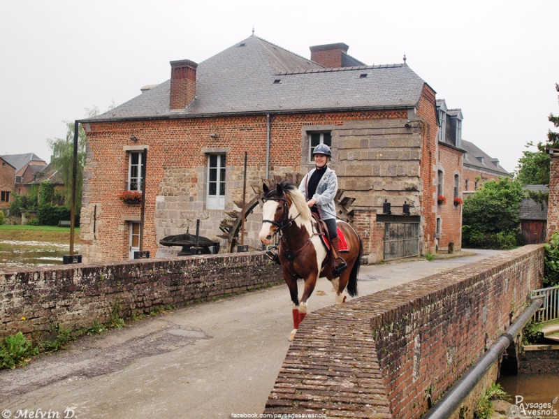 Image hébergée par servimg.com