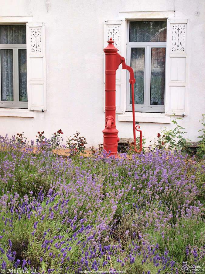Image hébergée par servimg.com