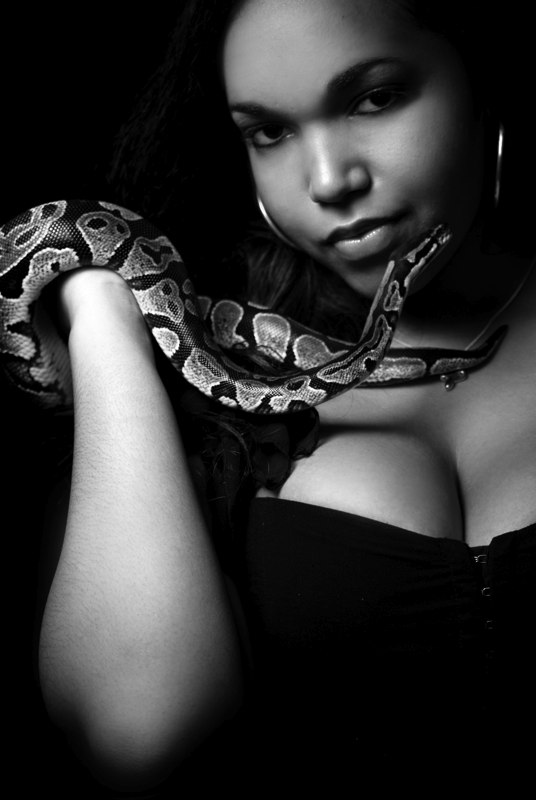[Photos] Photos studio avec mes serpents - Forum Tatouage et Piercing 