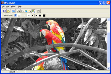 برنامج تحرير الصور ImageElements BrightSpot