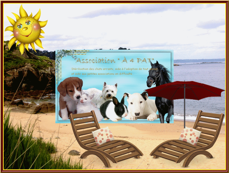 ASSOCIATION 4 PAT