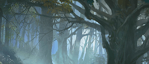 Profondeurs de la Forêt