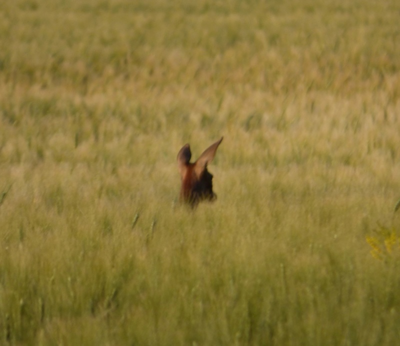 rencontre dans le 44 bonjour