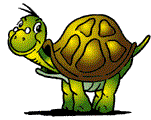 tortue14.gif