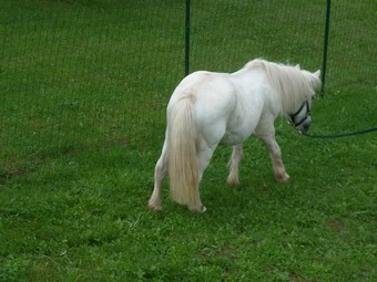 prisca10.jpg