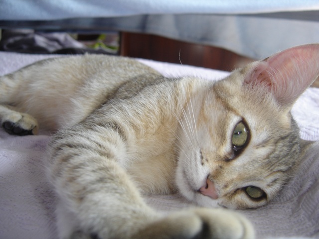 dsc02514.jpg