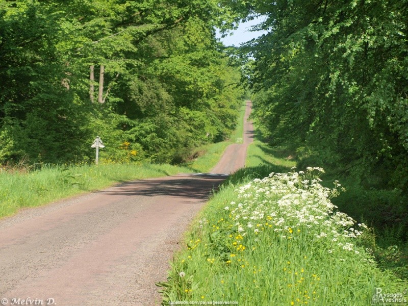 p5173210
