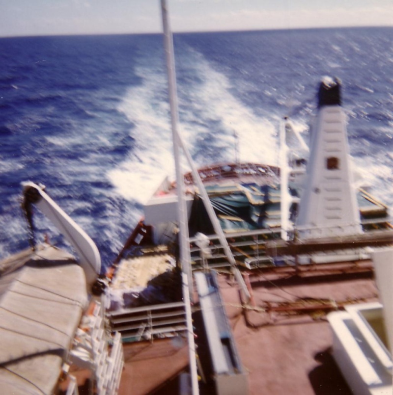 scan1023.jpg