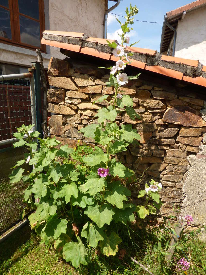 p1040873.jpg