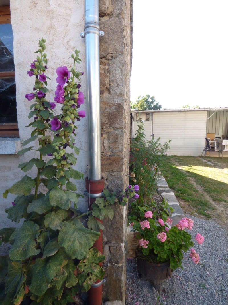 p1050035.jpg