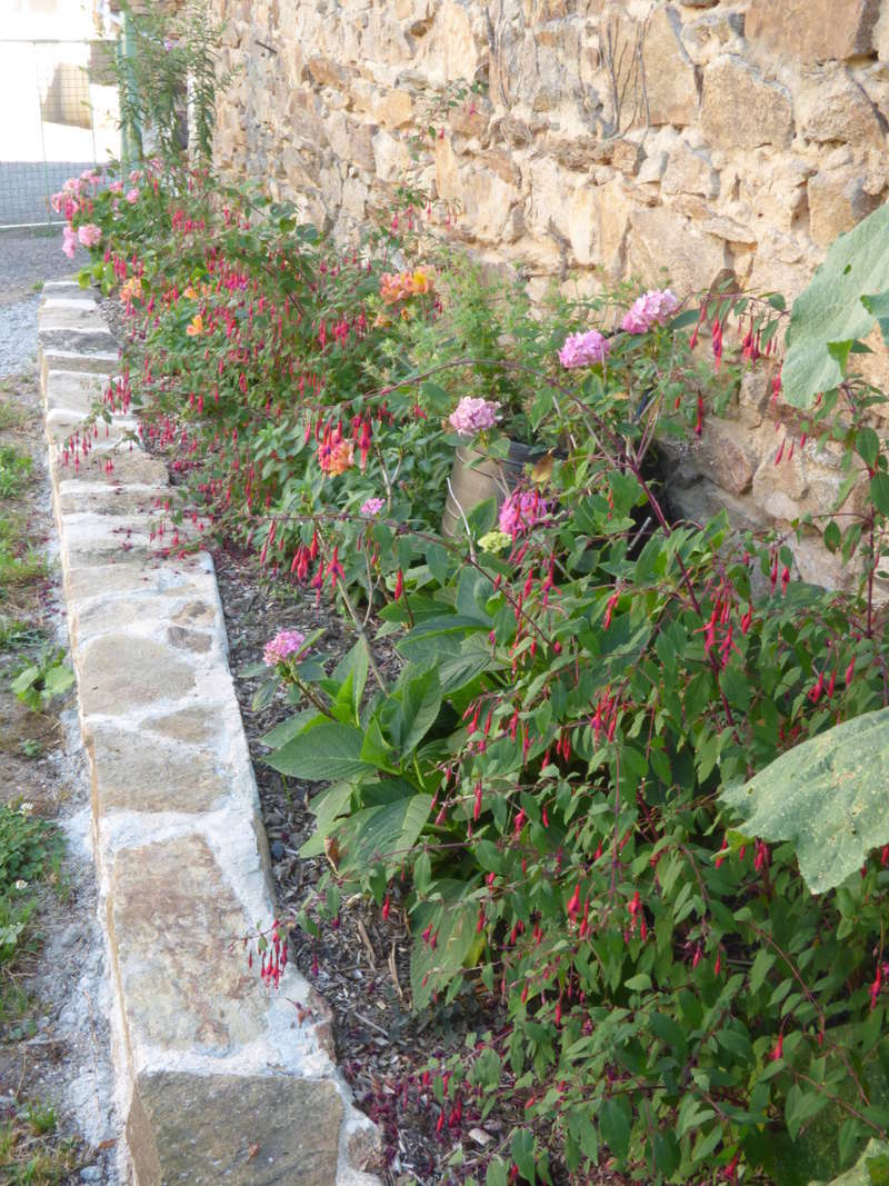 p1050037.jpg