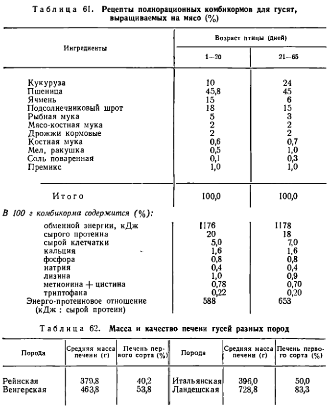 Схема откорма гусей