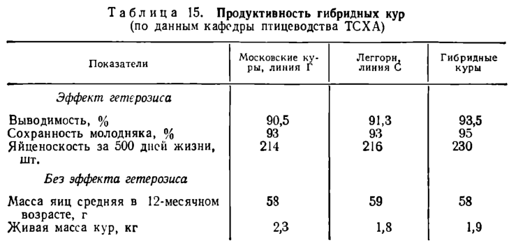 Мясная продуктивность