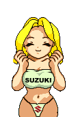 suzuki11.gif