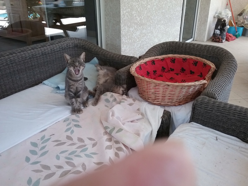 20160815.jpg