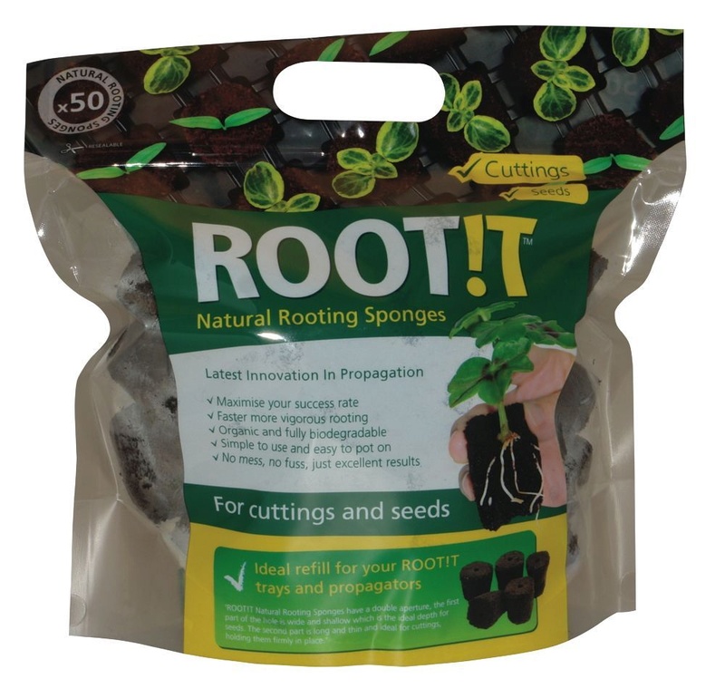 root-i10.jpg