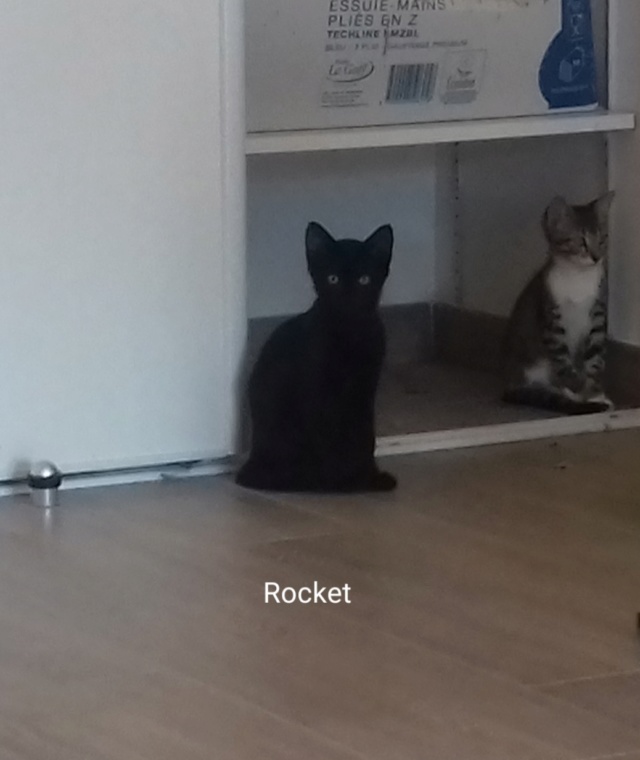 rocket10.jpg